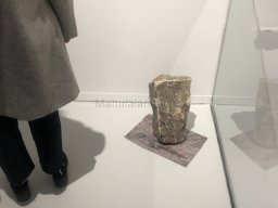 Exposición de Mutantes 2022